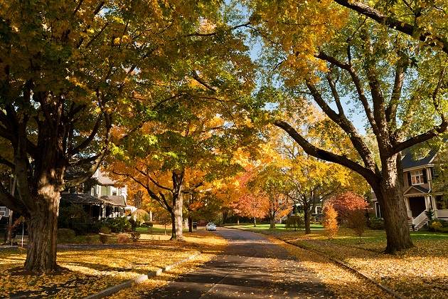 Ngắm nhìn mùa thu tại Boston, Mỹ