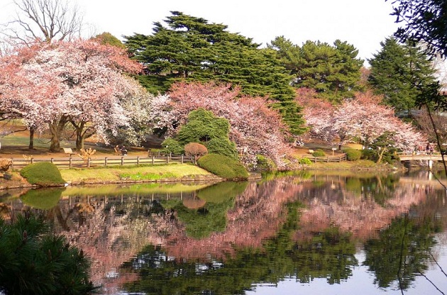 Khám phá các công viên nổi bật tại Nhật Bản