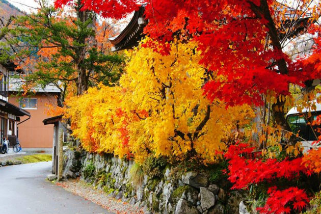 Ngỡ ngàng với những địa điểm ngắm mùa thu ở Nhật Bản