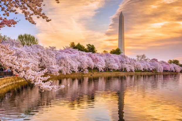 Washington DC, USA in spring season.