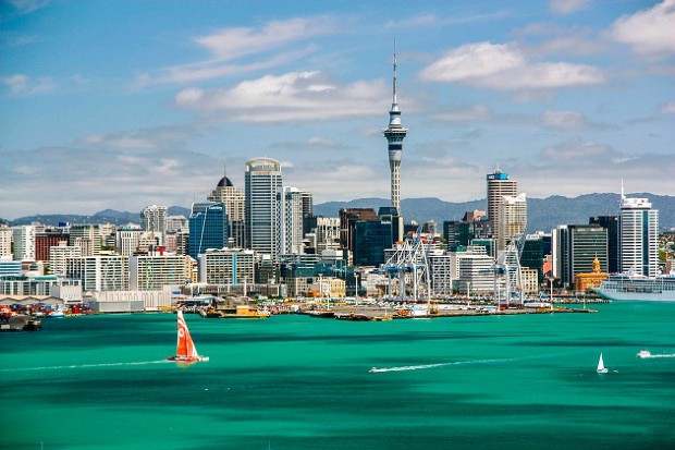 Cập nhật giá vé máy bay đi New Zealand giá rẻ nhất hiện nay