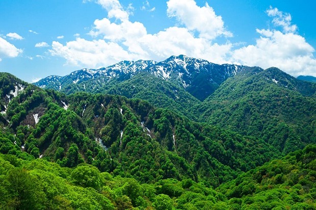 Núi Shirakami được UNESCO công nhận là di sản thiên nhiên thế giới