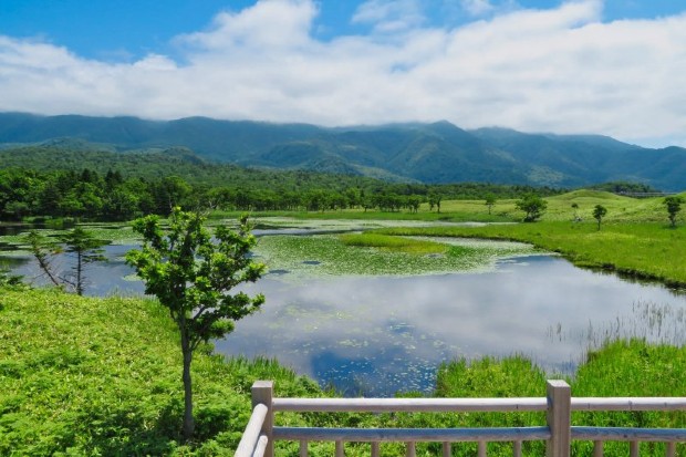 Kushiro Shitsugen được xem là vườn quốc gia lớn nhất Nhật Bản